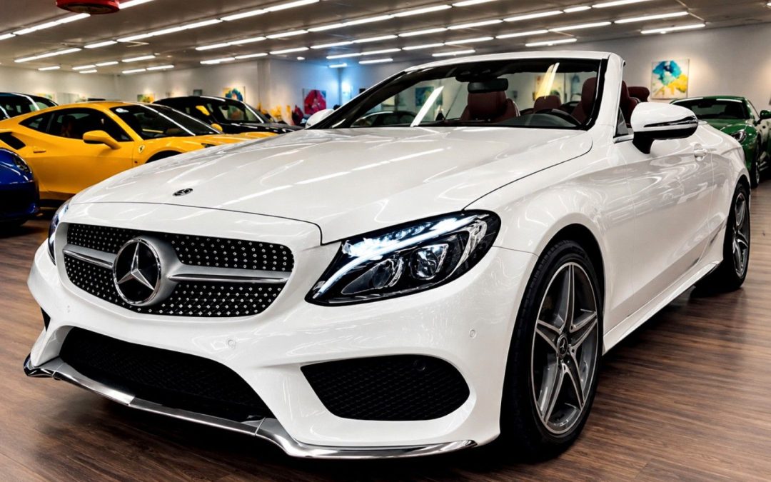 Mercedes-Benz C 300 Cabrio AMG Paket LED Leder Navi Perfekt